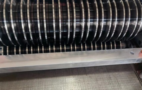 大四男生帶一歲小外甥上大學