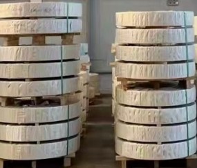 安徽一疾控中心欠半年工資？假